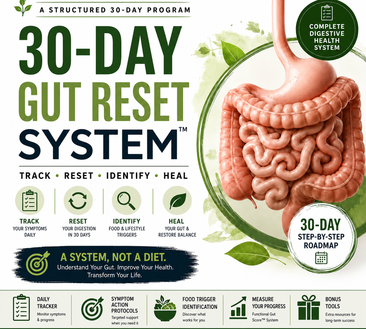 30-Day Gut Reset System product preview with digestion illustration and program features